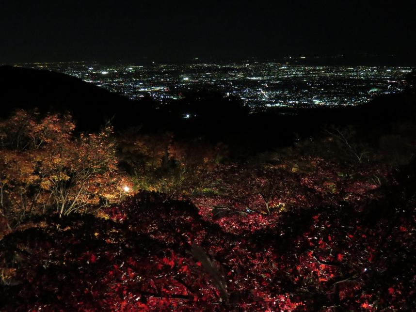 阿夫利神社夜景
