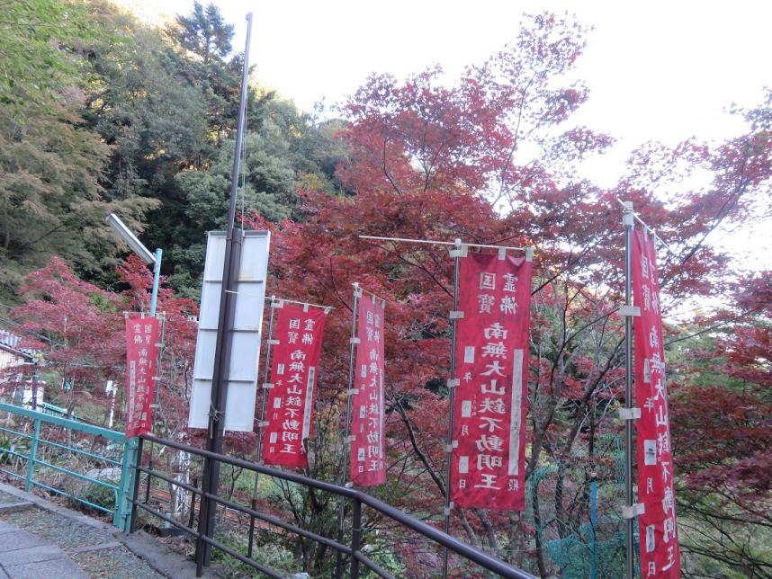 大山紅葉_2