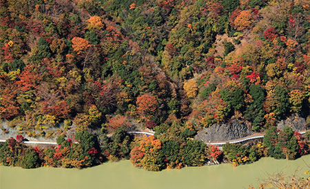 丹沢の山々の紅葉が色づいている様子