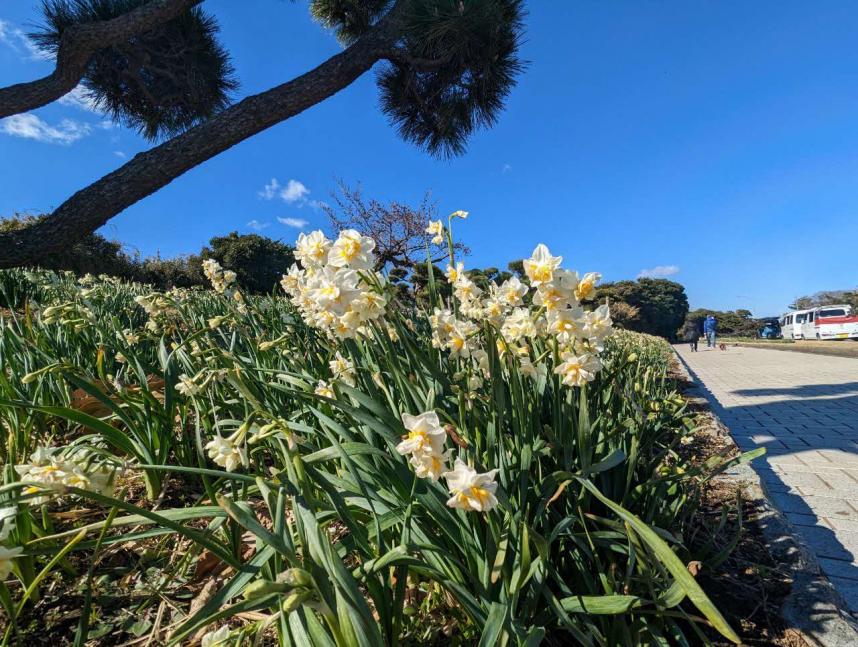 城ケ島公園