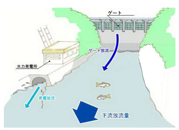 通常時は水力発電所を使用し放流し、増水時は発電放流と併せてゲートから放流します。