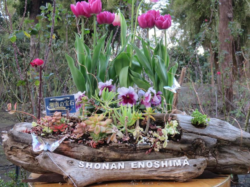 湘南の宝石_ポット