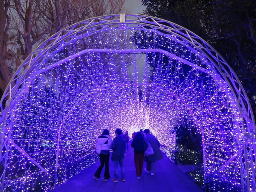湘南の宝石_トンネル