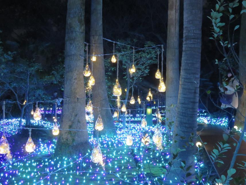 湘南の宝石_吊りライト