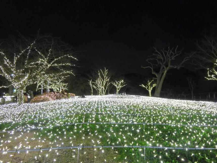 湘南の宝石_広場