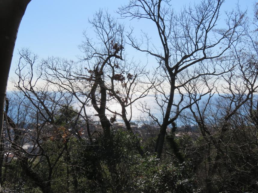 山道中腹の景色