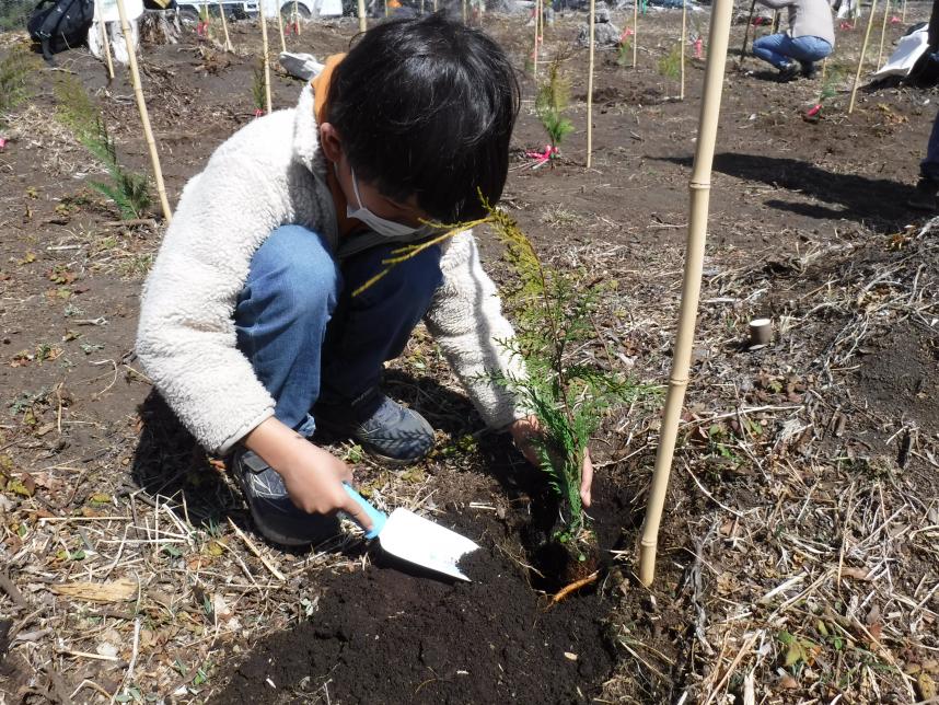 植樹の様子