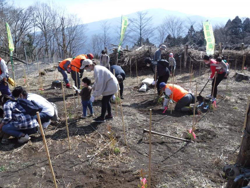 植樹の様子（全体）