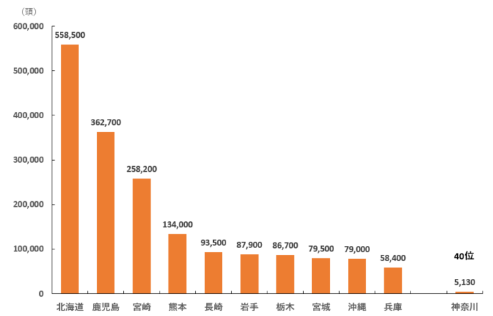 2025年肉用牛_全国飼養数