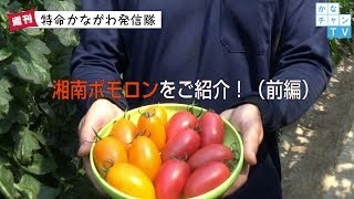 ポモロン前編