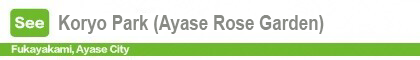 Koryo Park (Ayase Rose Garden) 