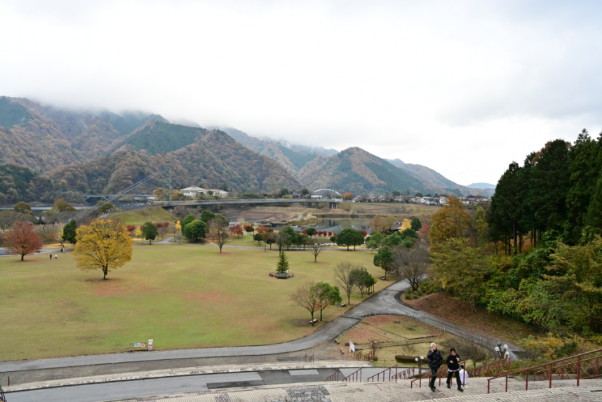 湖畔園地_階段上からの風景