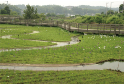 Kanigaya Park