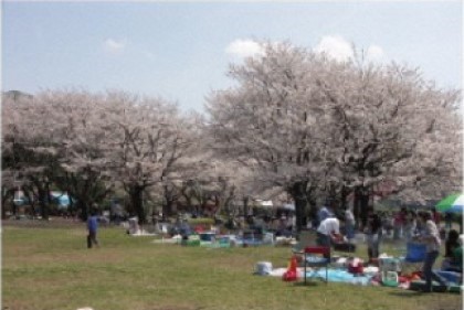 Kami-ooshima　Camping　Area