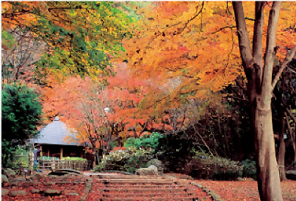 Kanagawa Prefectural Nanasawa Forest Park