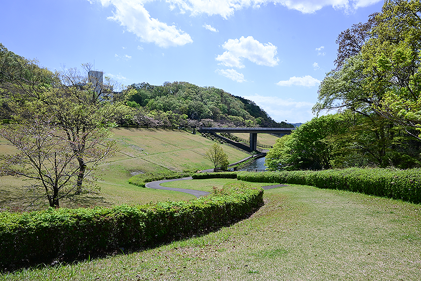 若宮公園の散歩道