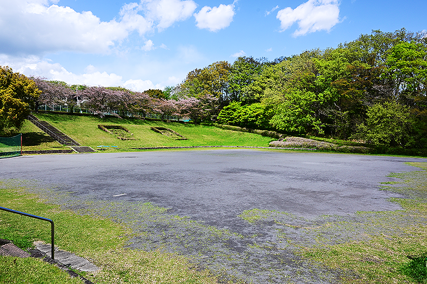 若宮公園の原っパ