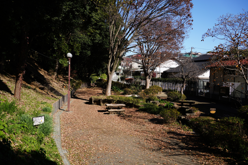 亀島自然公園の様子