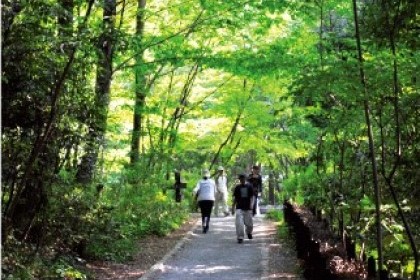 Zama Yatoyama Park