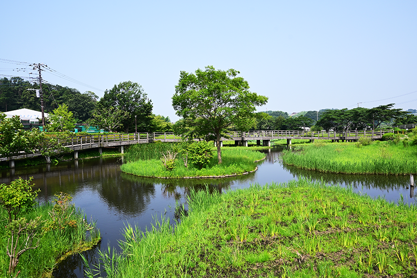 湿生園に続く木道