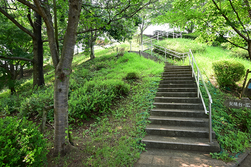 丘を抜ける階段の様子