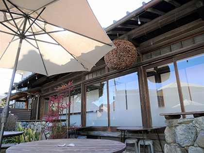 泉橋酒造（杉玉）