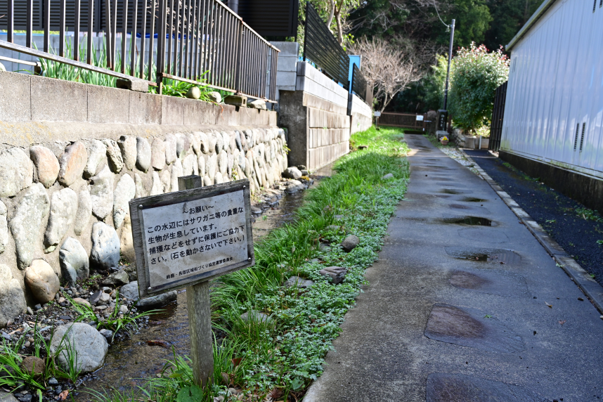 鈴鹿・長出区の水路