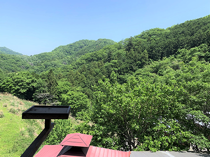 カウンター席からの眺め