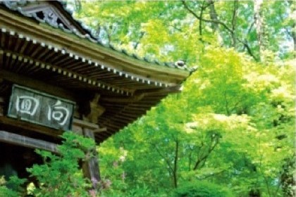 Shokakuji Temple