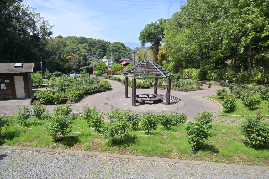 城山公園の花木園