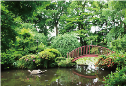 Taimasan Muryokoji Temple 