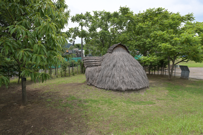 縄文時代の展示