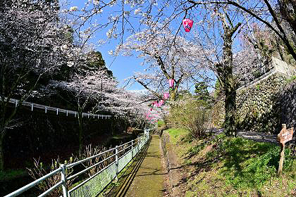 長谷観音への散歩道