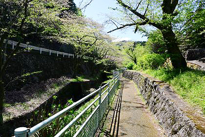 長谷寺への散歩道