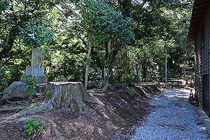 観音堂裏手のハイキングコース