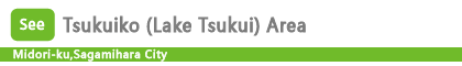 Tsukuiko (Lake Tsukui) Area