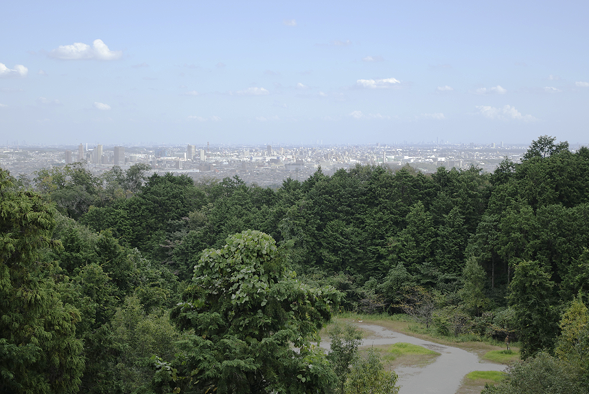 城山湖から市街を望む