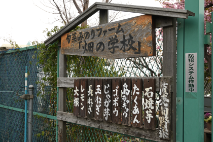 旬菜みのりファーム（野菜収穫体験）入口