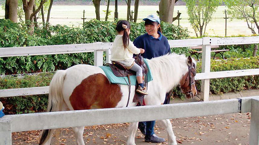 ポニー乗馬の風景
