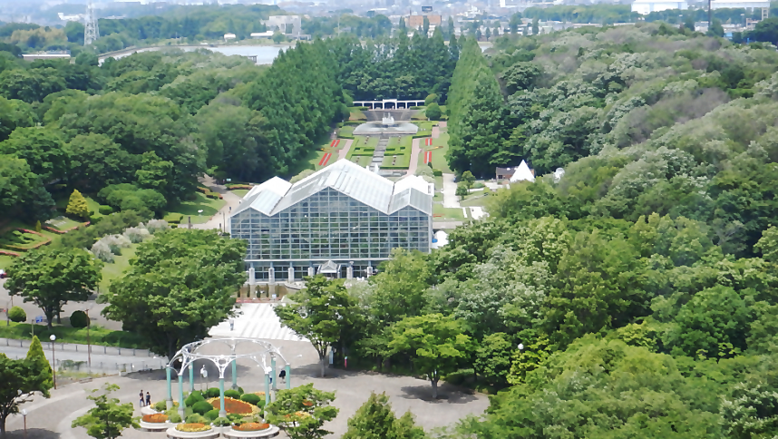 麻溝公園展望台からの風景