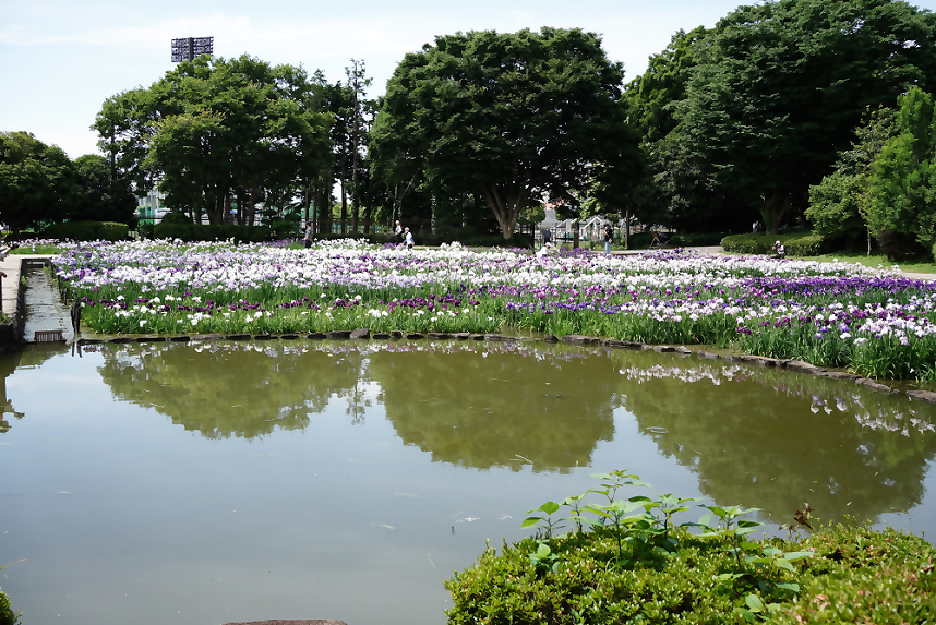 水無月園入り口からの風景