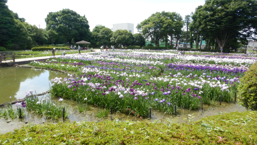 水無月園_全景