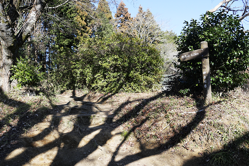 陣馬山途中の道の様子