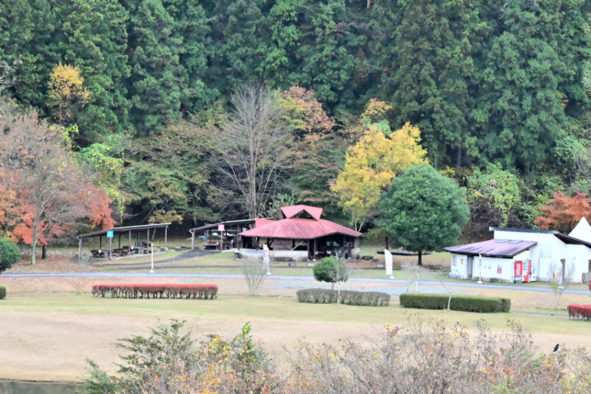 バーベキュー場の様子