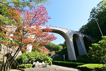 七沢森林公園_虹のはけはし
