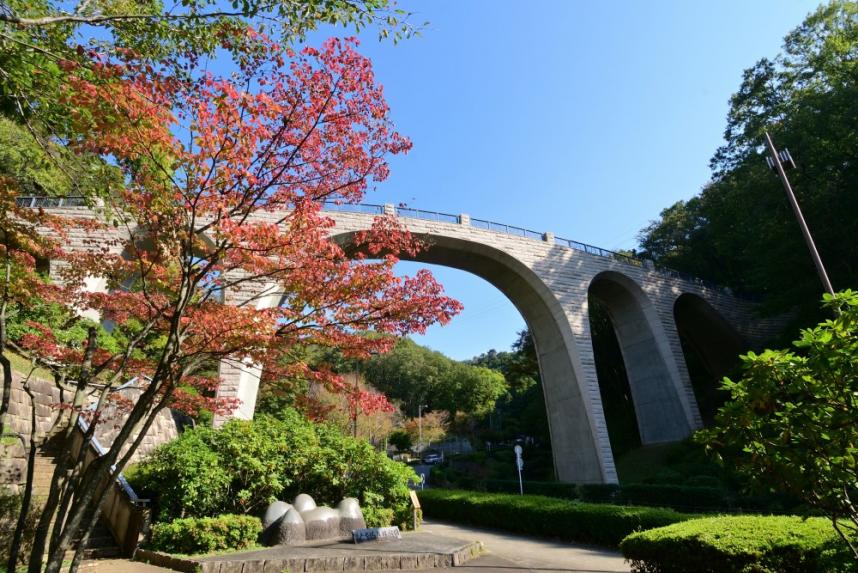 七沢森林公園_虹のはけはし