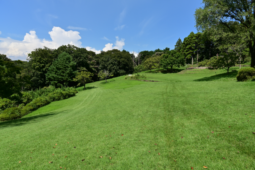 七沢森林公園大山広場