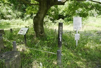 県立三川公園の自然観察園3