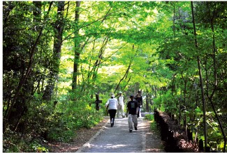 Zama Yatoyama Park