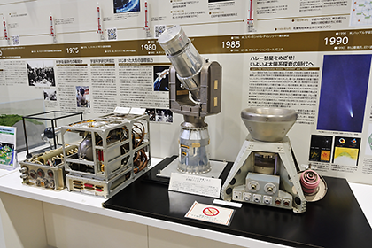 壁面の実物展示